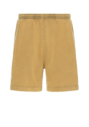Acne Studios Shorts in Sage Green - Green. Size L (also in M).