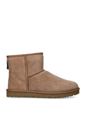 Ugg Suede Classic Mini Boots