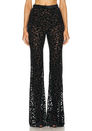 PRISCAVera Fitted Flared Pant in Black - Black. Size M (also in ).
