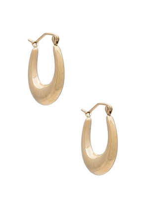 Loren Stewart Dome Hammock Hoop Earrings in 14k Yellow Gold - Metallic Gold. Size all.