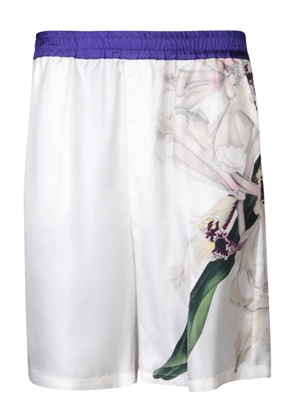 Pierre-Louis Mascia Aloe Organic White/multicolor Shorts