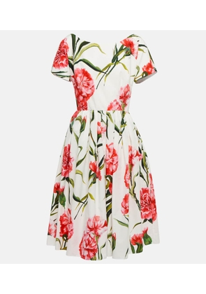 Dolce&Gabbana Floral A-line cotton midi dress
