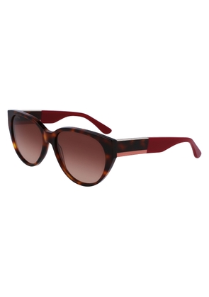 Lacoste Brown Gradient Cat Eye Ladies Sunglasses L985S 240 59