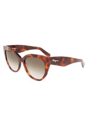 Salvatore Ferragamo Brown Gradient Cat Eye Ladies Sunglasses SF1061S 240 56
