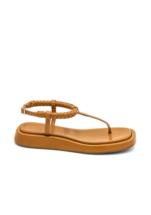 GIA BORGHINI x RHW Flat Thong Sandal in Golden Brown - Brown. Size 39 (also in ).