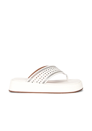 ALAÏA Vienne Plastron Thong Sandals in Blanc Casse - White. Size 41 (also in 40).