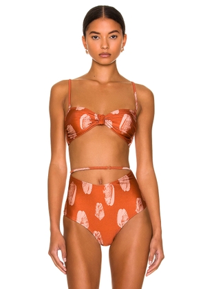 Shani Shemer Kith Bikini Top in Shells - Burnt Orange. Size S (also in ).