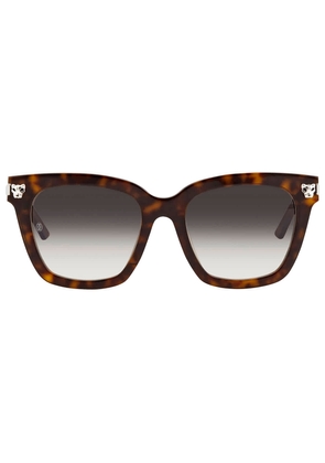 Cartier Grey Gradient Cat Eye Ladies Sunglasses CT0025SA 51 002