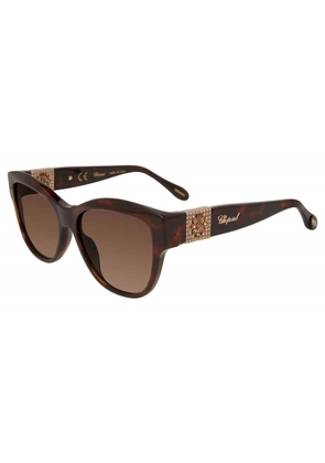 Chopard Brown Square Ladies Sunglasses SCH287S 01AY 55