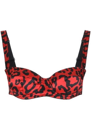 Dolce & Gabbana leopard-print balconette bra - Red