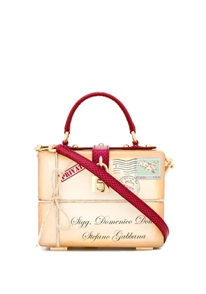 Dolce & Gabbana Dolce Box wood top-handle bag - Neutrals