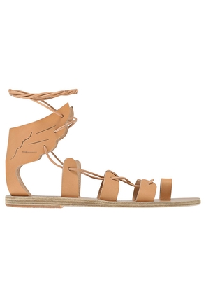 Ancient Greek Sandals - Fteroti