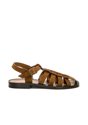 The Row Pablo Sandal in Bark - Tan. Size 41 (also in ).