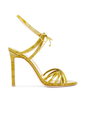 TOM FORD Glossy Stamped Croc 105 Sandal in Chartreus - Green. Size 36 (also in 36.5, 37, 37.5, 38, 39, 40, 41).