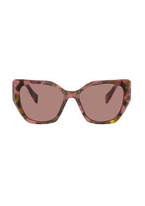 Prada Eyewear Pr19Zs Symbole 18N10D Havana Rosa/ Marrone Sunglasses