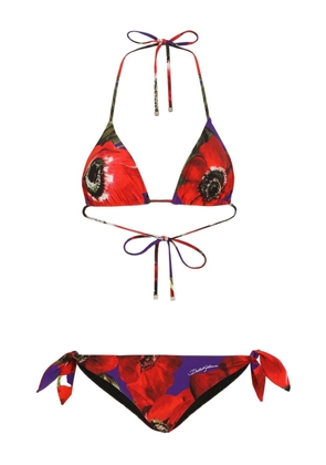 Dolce & Gabbana Anemone balconette bikini set - Red