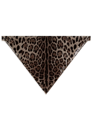 Dolce & Gabbana leopard-print silk headscarf - Brown