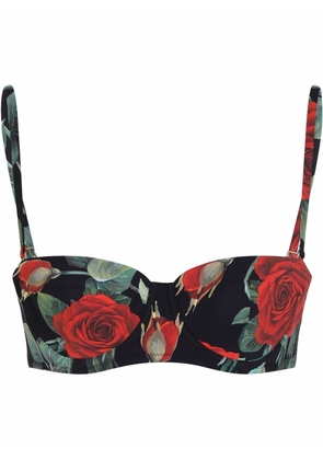 Dolce & Gabbana rose-print balconette bikini top - Black
