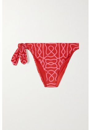 Agua by Agua Bendita - Coral Printed Recycled Bikini Bottoms - Red - x small,small,medium,large,x large