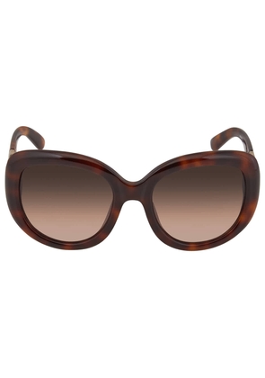 Salvatore Ferragamo Brown Oval Ladies Sunglasses SF727S 214 53