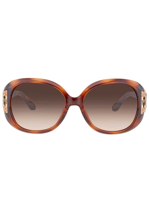 Salvatore Ferragamo Brown Gradient Oval Ladies Sunglasses SF668S 238 57