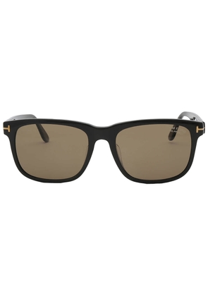 Tom Ford Stephenson Polarized Brown Square Mens Sunglasses FT0775 01H 56