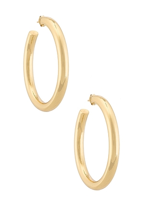The M Jewelers NY The Thick Hoop Earrings in Metallic Gold.