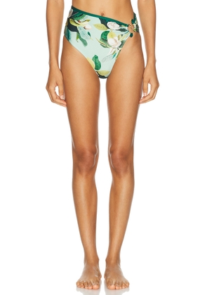 PatBO Magnolia High Leg Bikini Bottom in Green Multi - Green. Size L (also in S, XS).