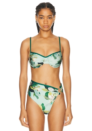 PatBO Magnolia Underwire Bikini Top in Green Multi - Green. Size L (also in M, S, XS).