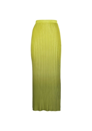 Max & Co. Jersey Pleated Maxi Skirt