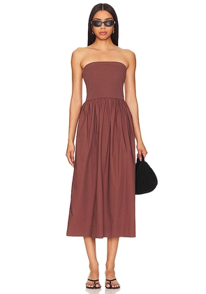 Steve Madden Lilad Dress in Brown. Size M, S, XL, XS.