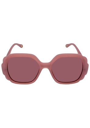 Chloe Pink Square Ladies Sunglasses CH0121S 003 55