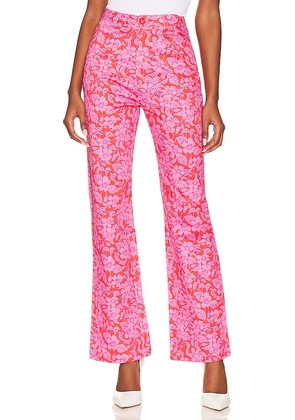 ROLLA'S Ivy Floral Bootcut in Fuschia. Size XS.
