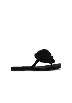 Jeffrey Campbell Perennial Sandal in Black. Size 6, 6.5, 7, 7.5, 8, 8.5, 9, 9.5.