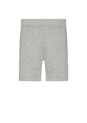 Reigning Champ Solotex Mesh Short in Grey. Size M, S, XL/1X.