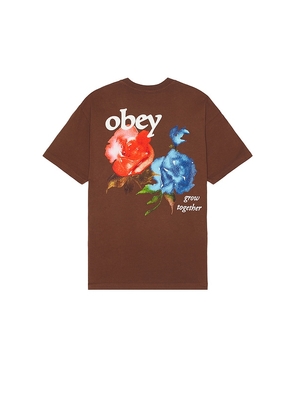 Obey Grow Together Tee in Brown. Size M, S, XL/1X.