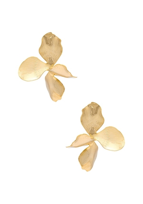SHASHI Hyacinthe Earring in Metallic Gold.