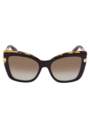 Ferragamo Brown Gradient Cat Eye Sunglasses SF814S 006 54