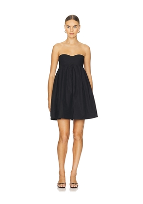 Susana Monaco Strapless Mini Dress in Black. Size M, S, XL, XS.