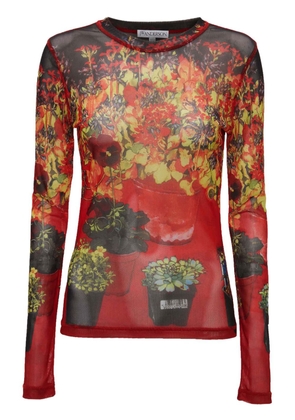 JW Anderson floral-print long-sleeve T-shirt - Red