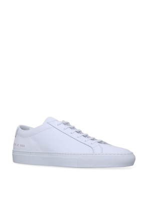 Common Projects Original Achilles Low-Top Sneakers