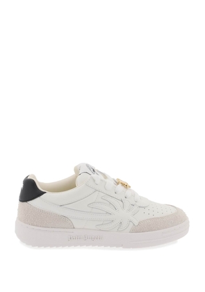 Palm angels sneakers palm beach university - 36 White