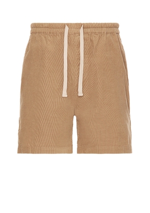 FRAME Spring Cord Shorts in Dark Beige - Brown. Size XL/1X (also in ).