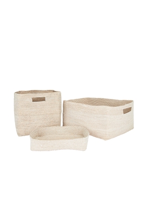 HAWKINS NEW YORK Essential Woven Storage Set Of 3 in White - White. Size all.