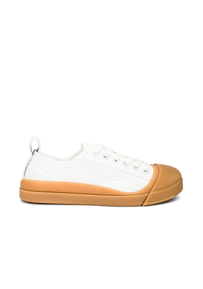 Bottega Veneta Vulcan Low Top Sneaker in Optic White & Honey - White. Size 38 (also in 41).