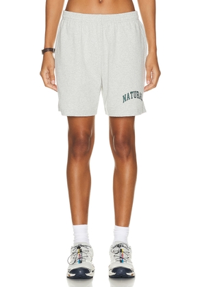 Museum of Peace and Quiet Natural Sweat Shorts in Heather - Light Grey. Size XL/1X (also in ).