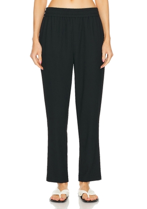 WAO Ribbed Knit Pant in black - Black. Size L (also in M, XL/1X).