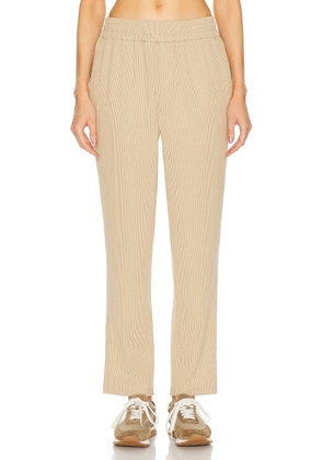 WAO Ribbed Knit Pant in tan - Tan. Size L (also in M, XL/1X, XS).