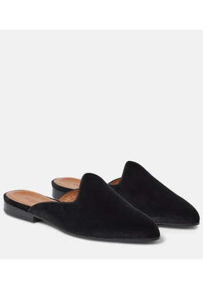 Le Monde Béryl Venetian velvet slippers