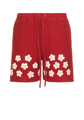 HARAGO Crochet Applique Shorts in Red - Rust. Size L (also in M).